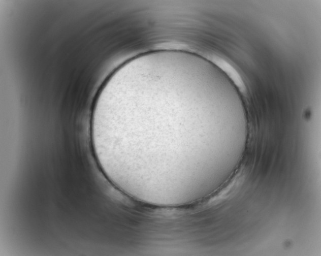 X0000102391000200808151916