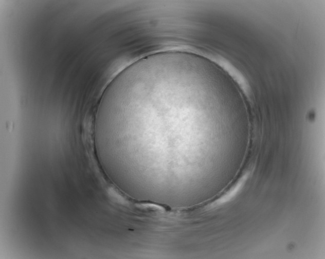 X0000102391001200808151916