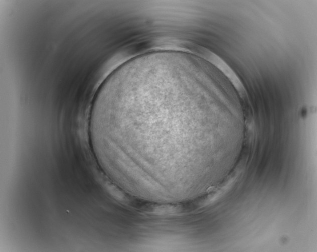 X0000102391002200808151916