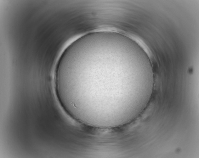 X0000102391003200808151916