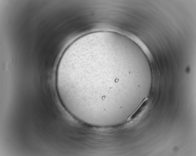 X0000102391004200808151916