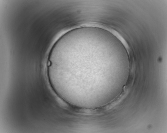 X0000102391005200808151916