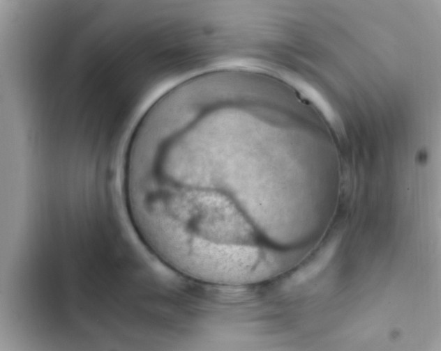 X0000102391007200808151916