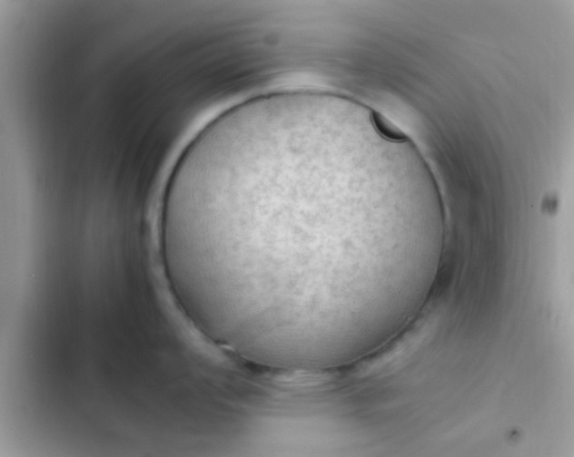 X0000102391008200808151916