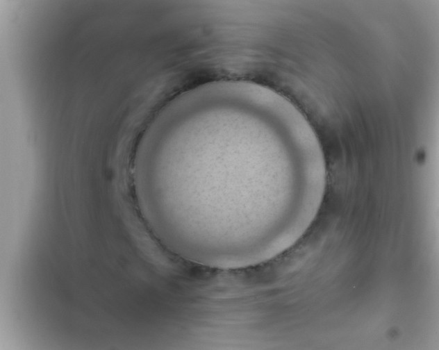 X0000102391009200808151916