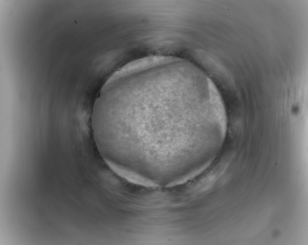 X0000102391010200808151916