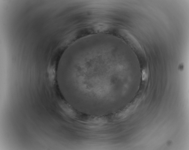 X0000102391011200808151916