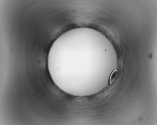 X0000102391012200808151916