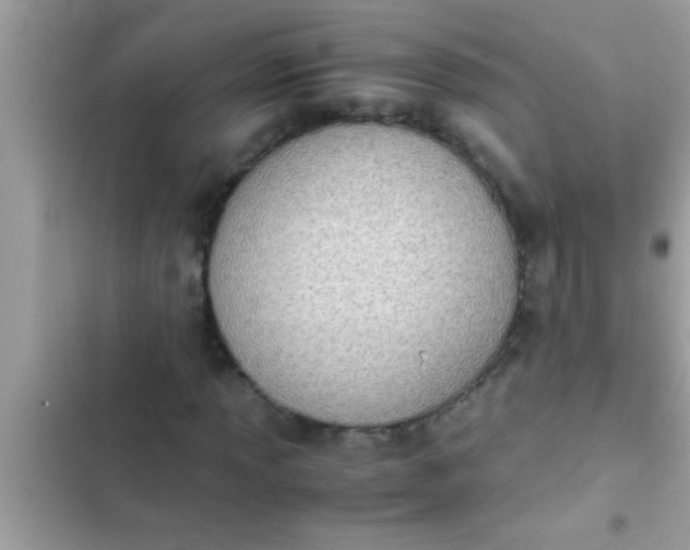 X0000102391013200808151916