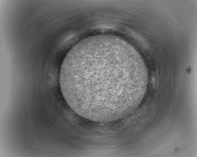 X0000102391014200808151916