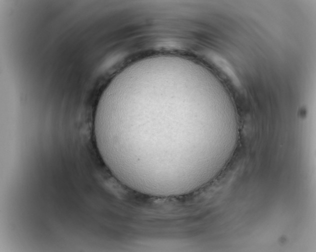 X0000102391015200808151916