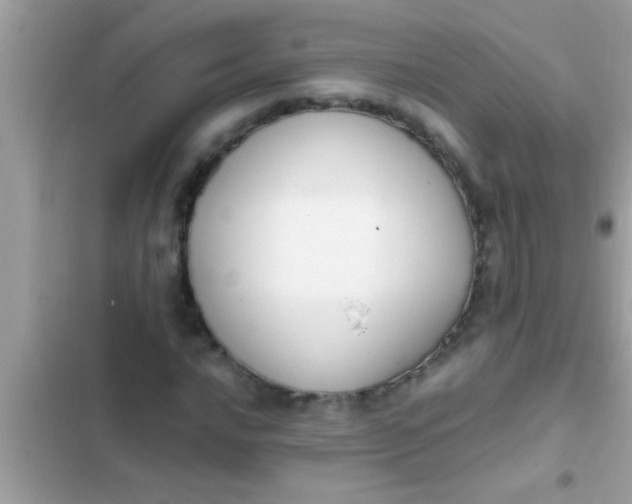 X0000102391016200808151916