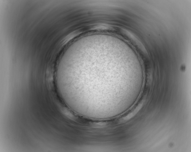 X0000102391017200808151916