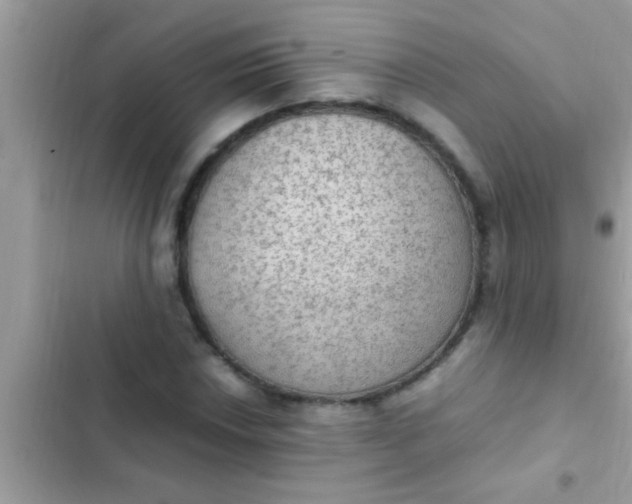 X0000102391018200808151916