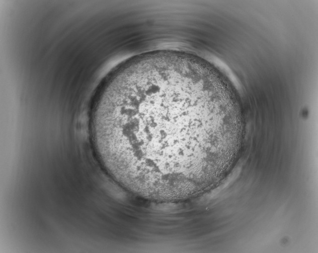 X0000102391019200808151916