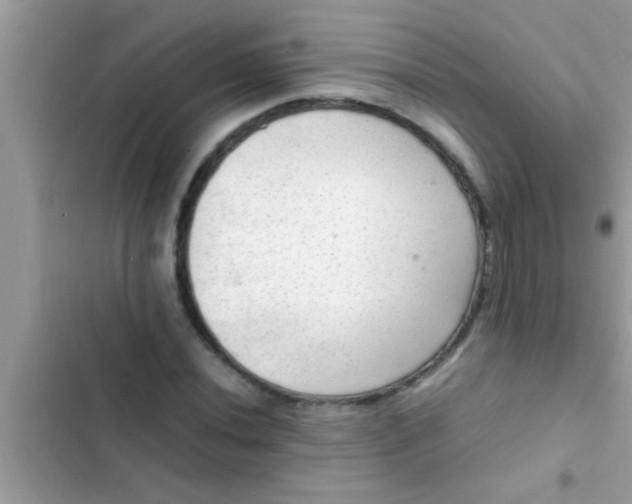 X0000102391020200808151916