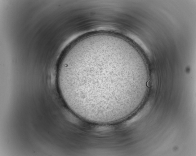 X0000102391021200808151916