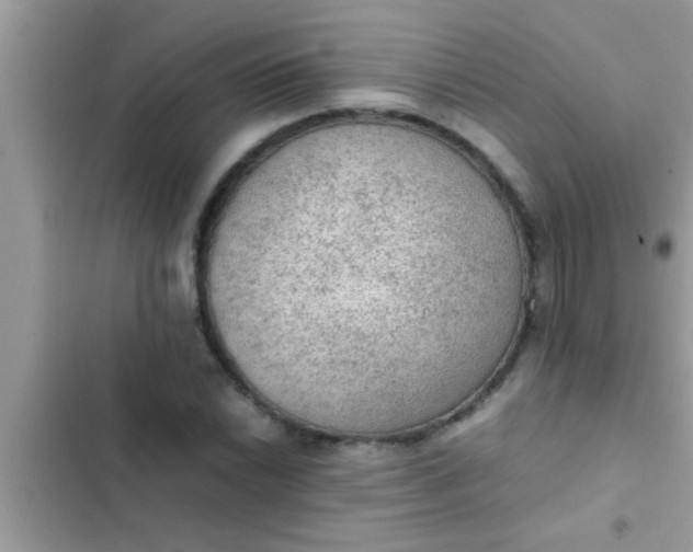 X0000102391022200808151916