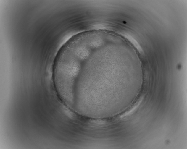 X0000102391023200808151916