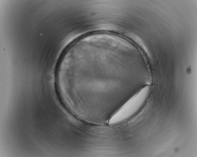 X0000102391024200808151916