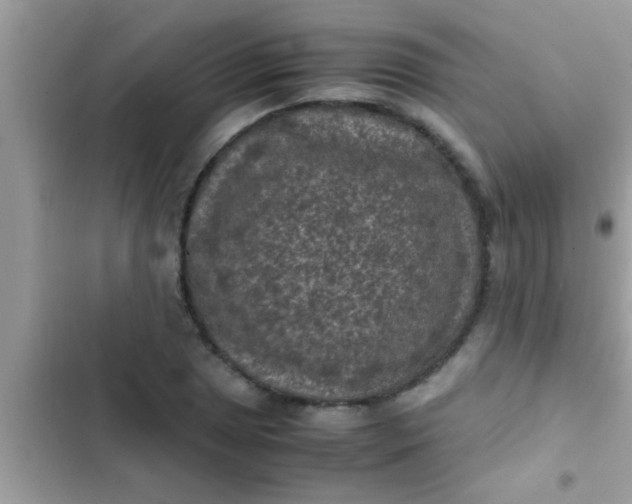 X0000102391025200808151916