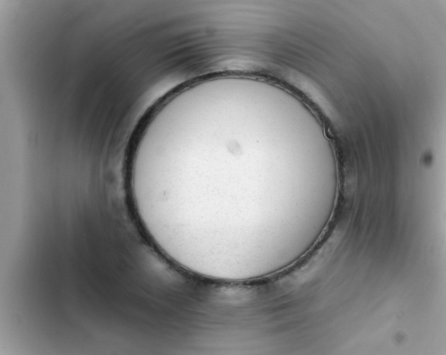 X0000102391026200808151916