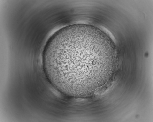 X0000102391027200808151916