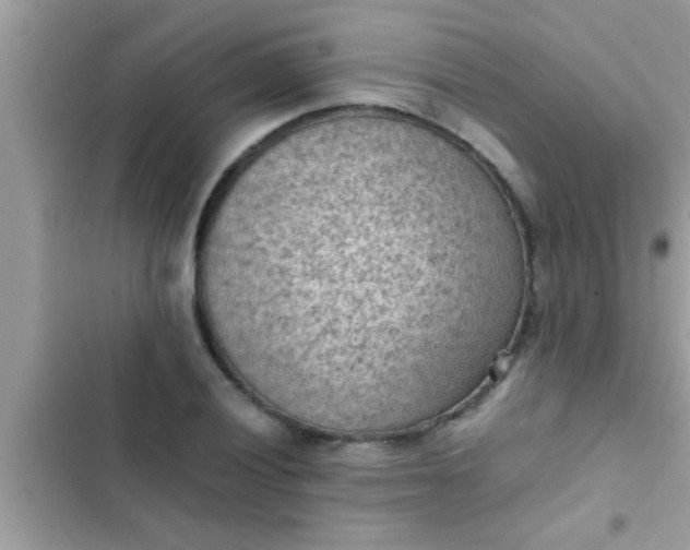 X0000102391028200808151916