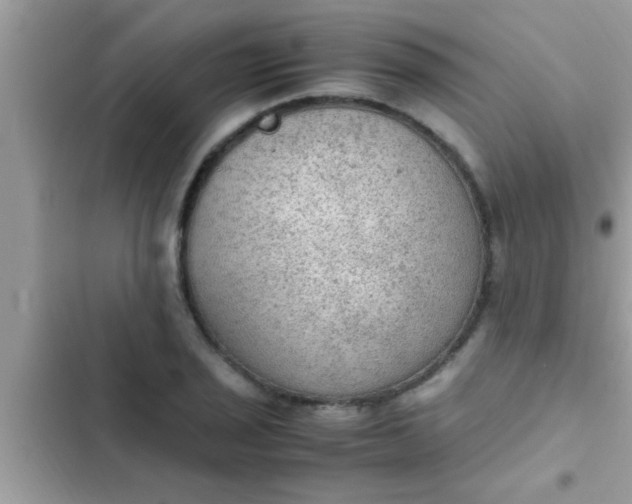 X0000102391029200808151916