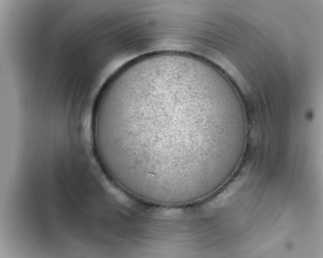 X0000102391030200808151916