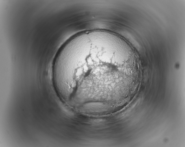 X0000102391031200808151916