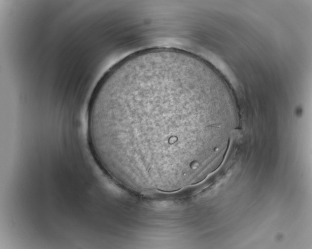 X0000102391032200808151916