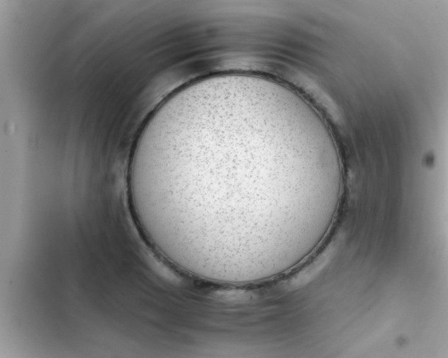 X0000102391033200808151916