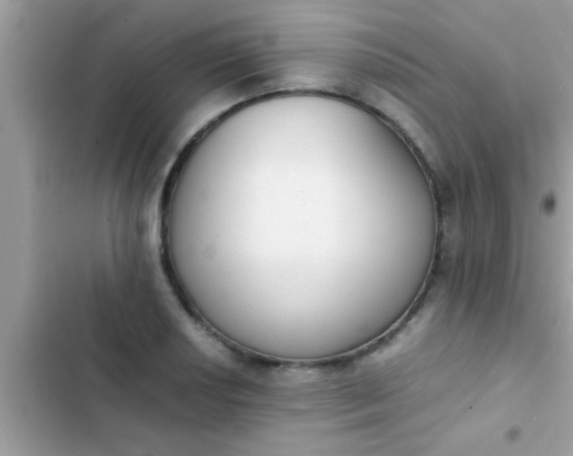 X0000102391034200808151916