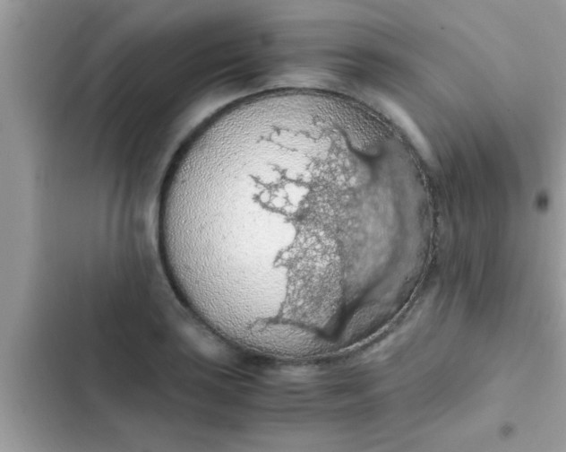 X0000102391035200808151916