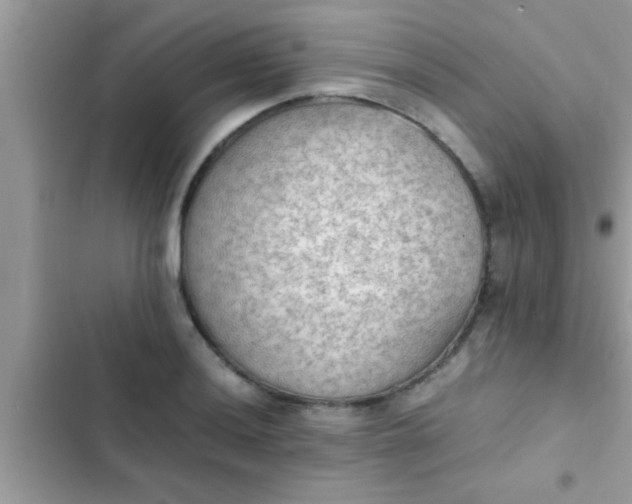 X0000102391036200808151916