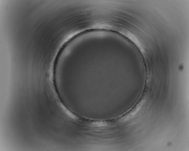 X0000102391037200808151916