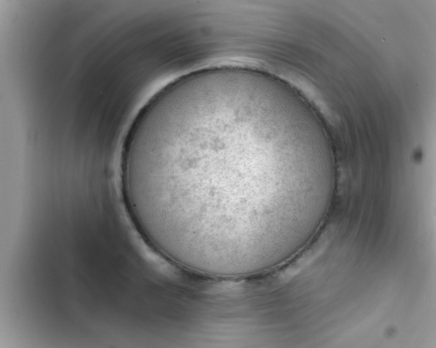 X0000102391038200808151916