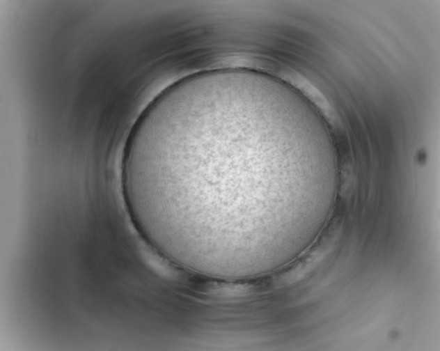 X0000102391039200808151916