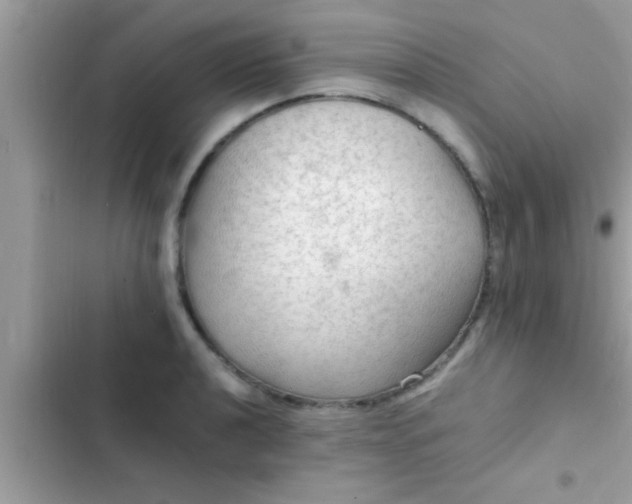 X0000102391040200808151916