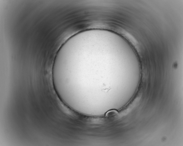 X0000102391041200808151916