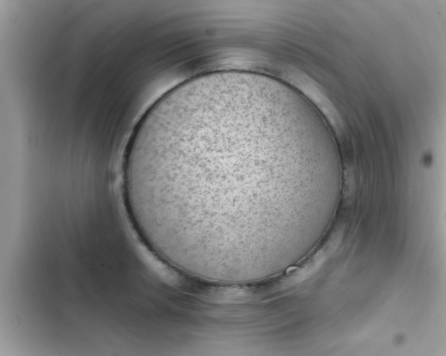 X0000102391042200808151916