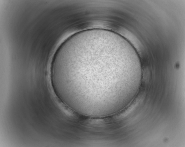 X0000102391043200808151916