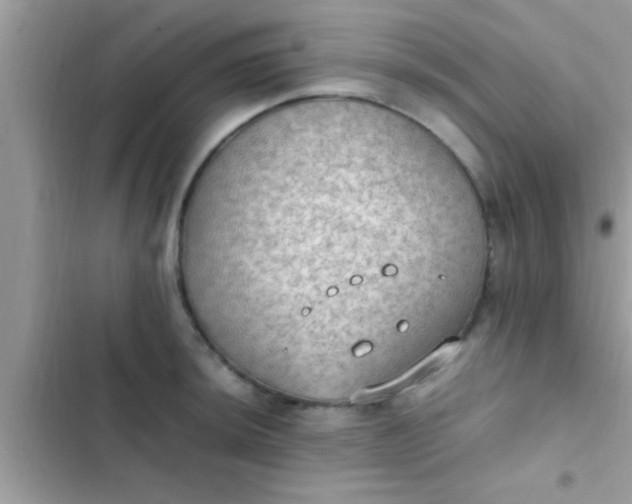 X0000102391044200808151916