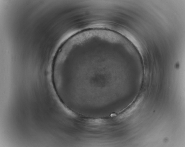 X0000102391045200808151916