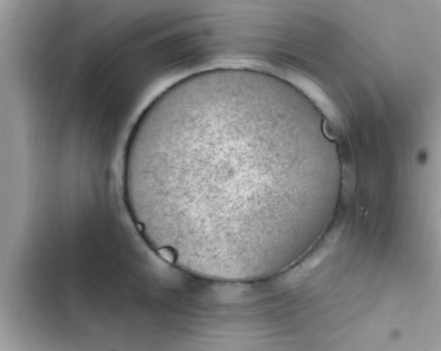 X0000102391046200808151916