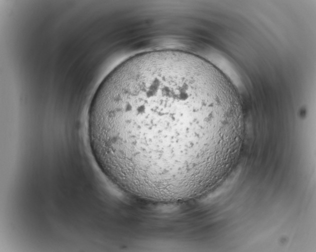 X0000102391047200808151916