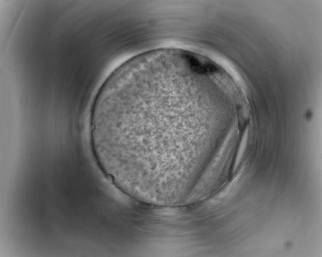 X0000102391048200808151916