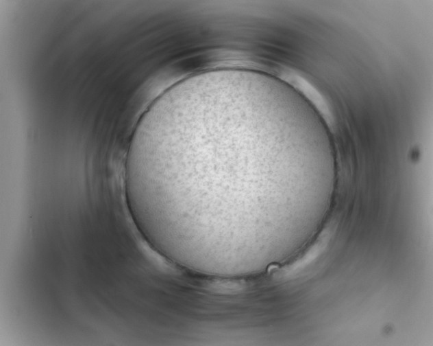 X0000102391049200808151916