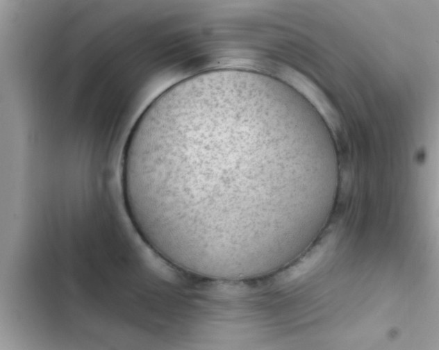 X0000102391050200808151916